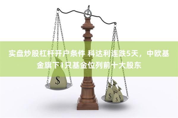 实盘炒股杠杆开户条件 科达利连跌5天，中欧基金旗下1只基金位列前十大股东